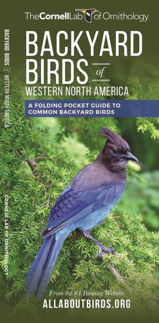 Backyard Birds of Western North America