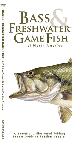 Buy Bass & Freshwater Game Fish Of North America Online With