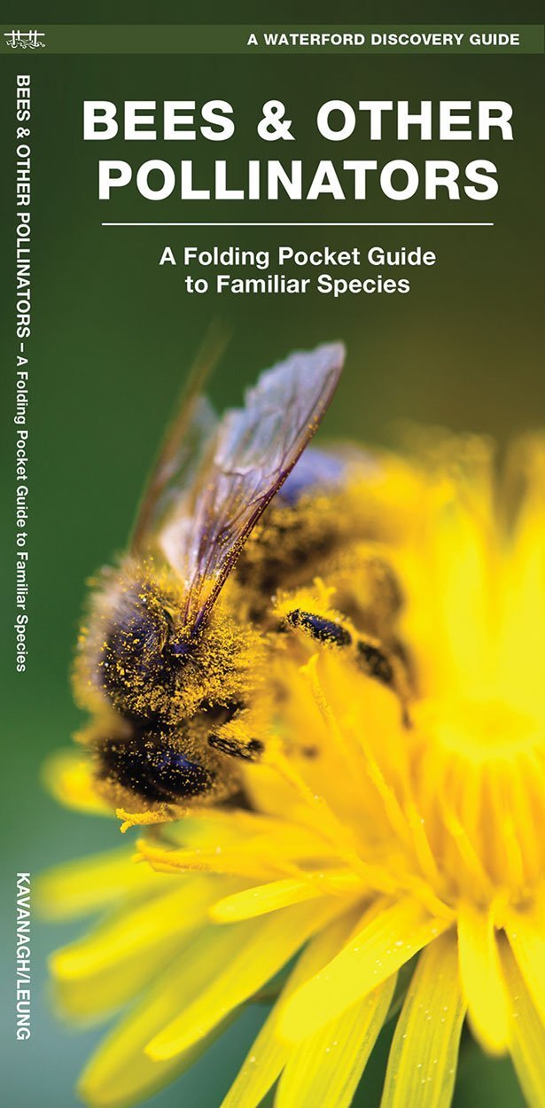 Bees & Other Pollinators: A Folding Pocket Guide