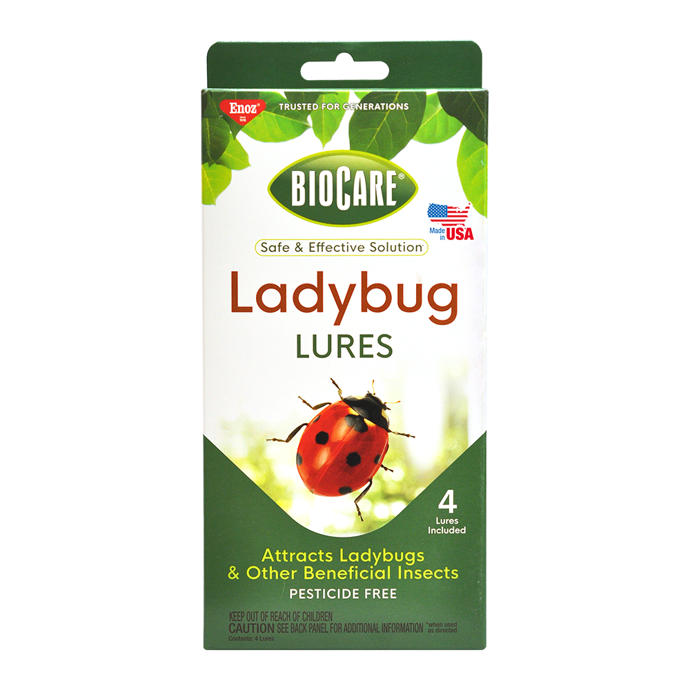 BioCare Ladybug Lures – Urban Nature Store