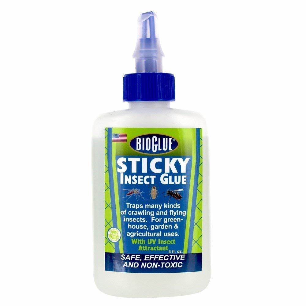 Bioglue Sticky Insect Glue 4oz