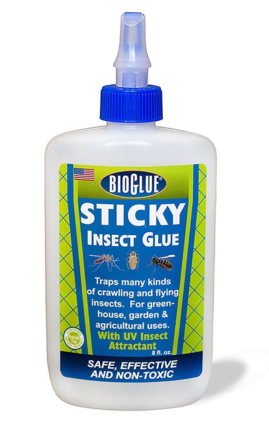 Bioglue Sticky Insect Glue 8oz