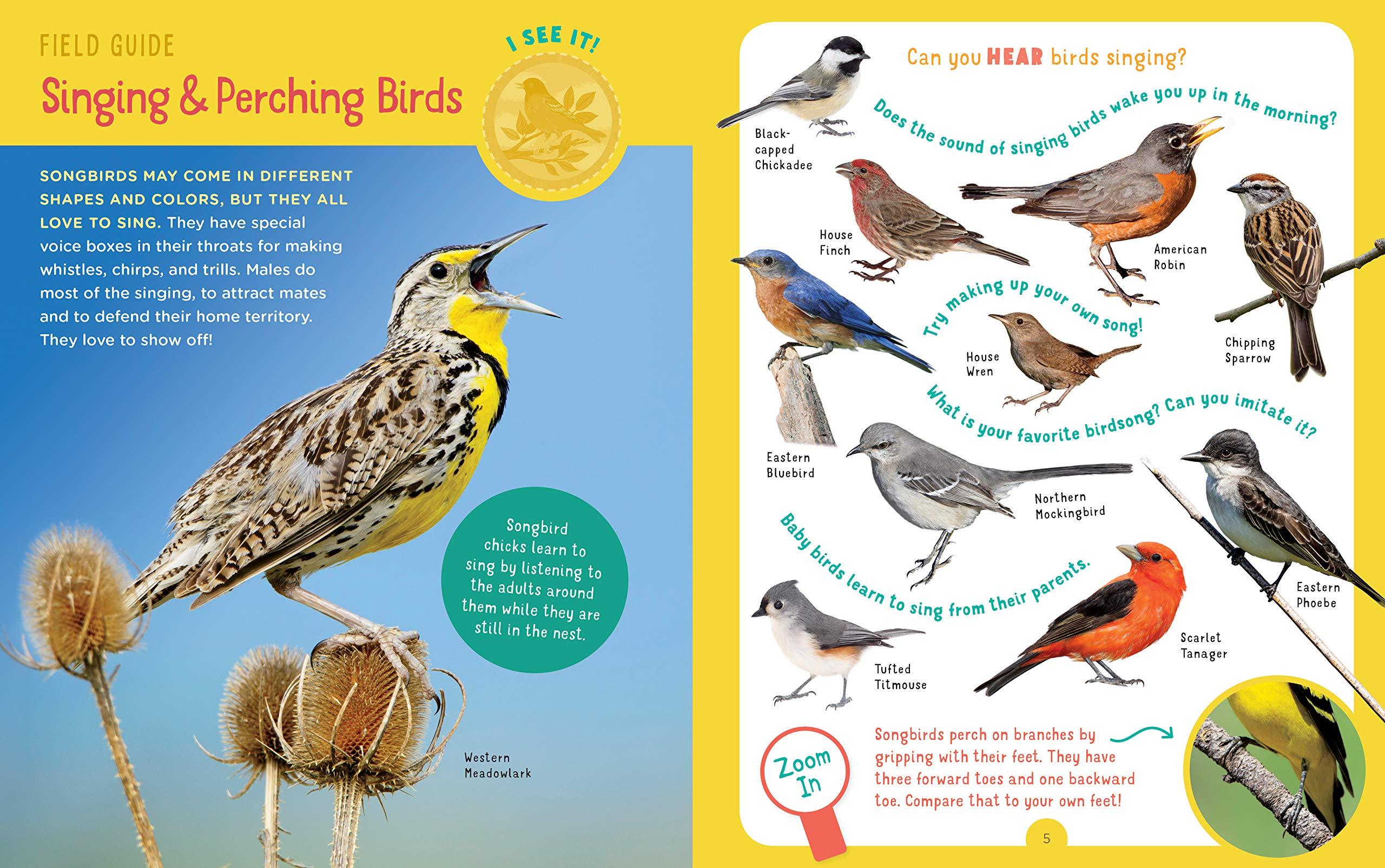 Buy Bird Watch, Backpack Explorer Online With Canadian Pricing