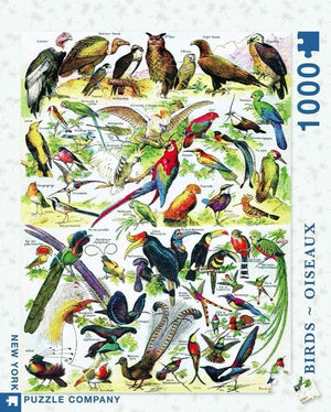 Birds-Oiseaux 1000pc Puzzle