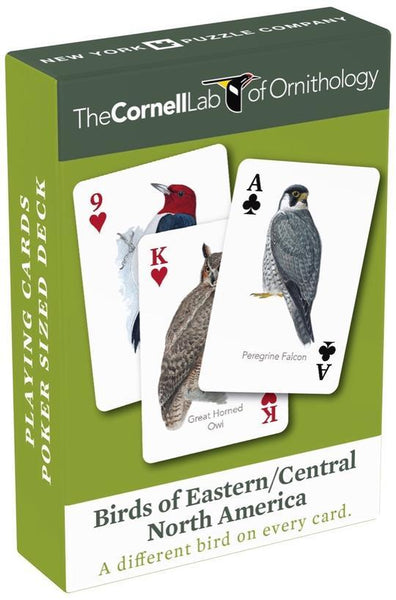 Birds_of_Eastern_Central_North
