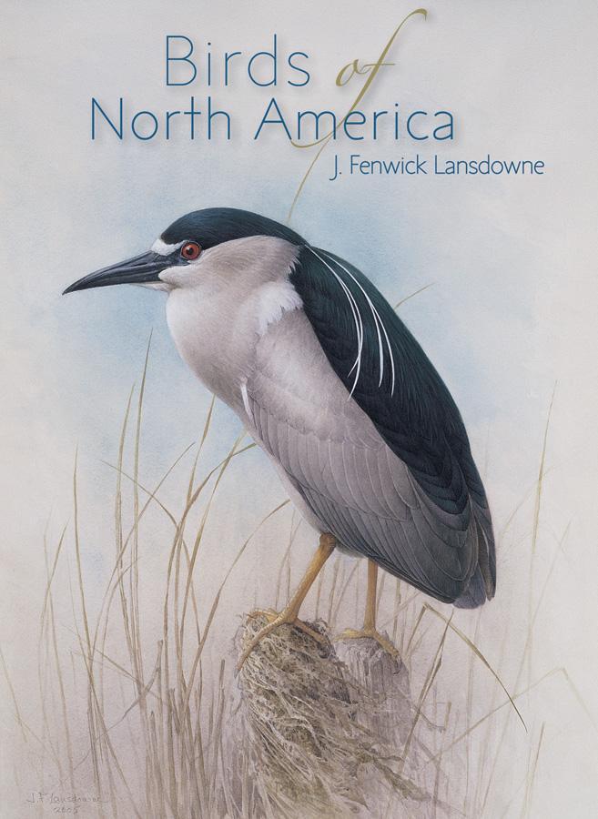 Birds of North America, Lansdowne: Boxed Notecards