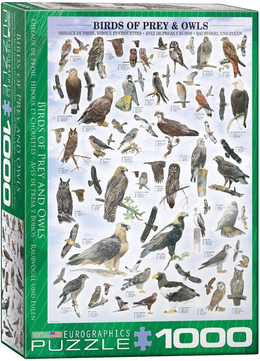 Buy Birds of Prey and Owls 1000-Piece Puzzle Online in Canada