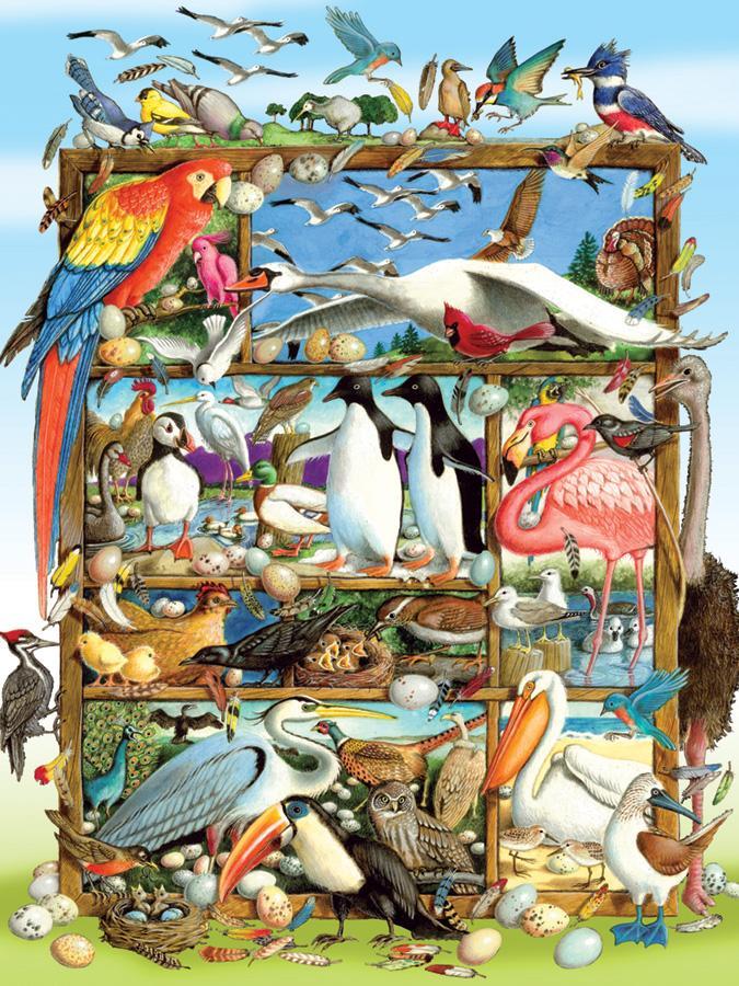 Birds of the World Family 350pc Puzzle