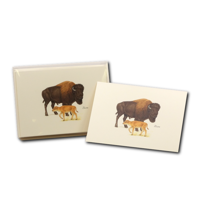 Bison Boxed Notecards