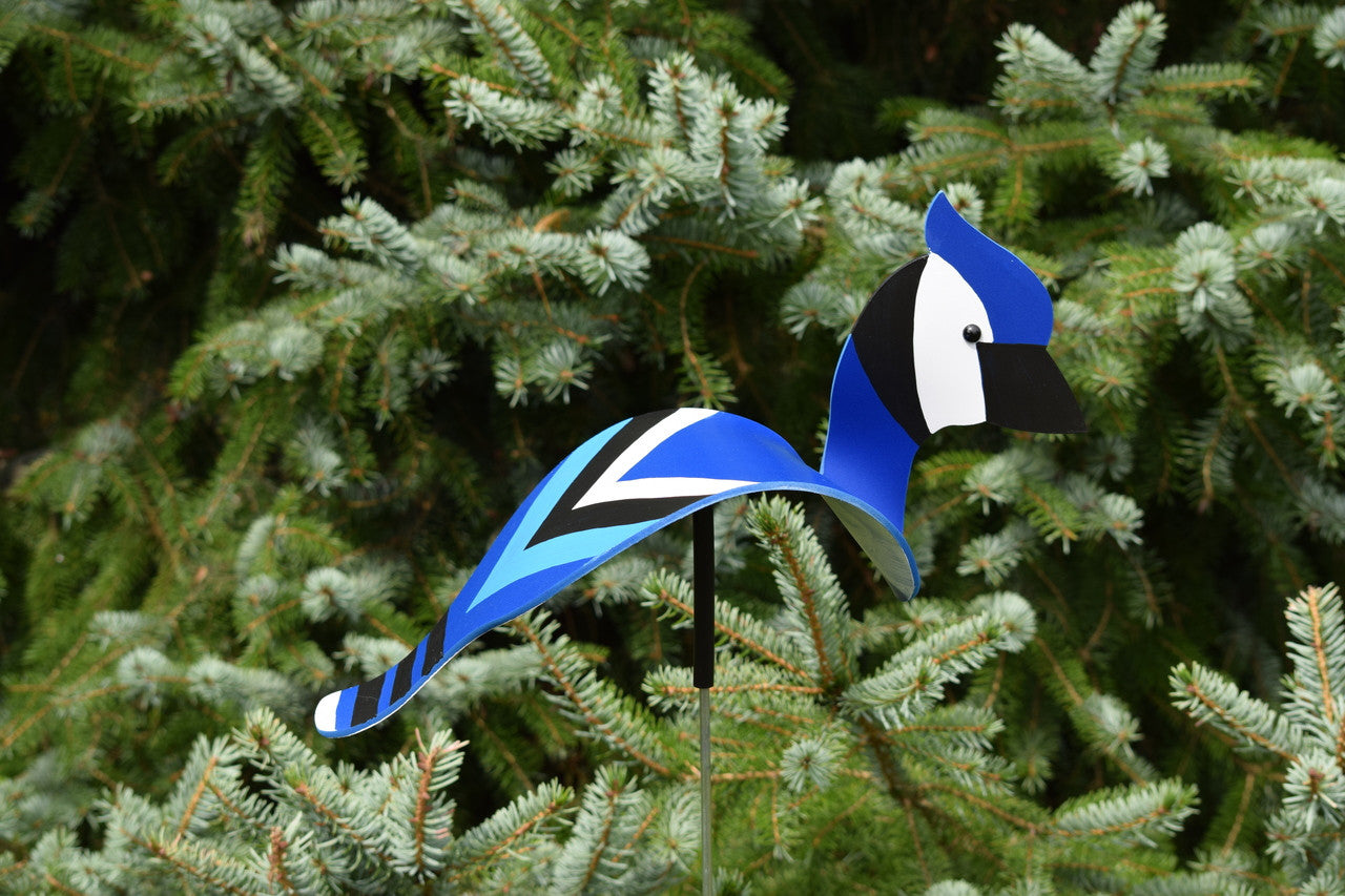 Buy Blue Jay Dancing Bird (Store Pickup Only) Online With Canadian
