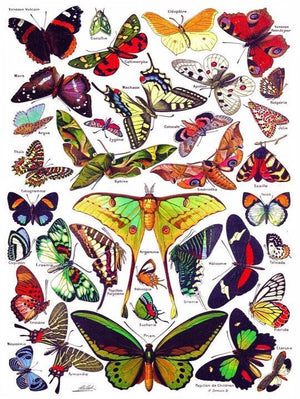 Butterflies 1000pc Puzzle