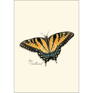 Butterfly Assortment Boxed Notecards