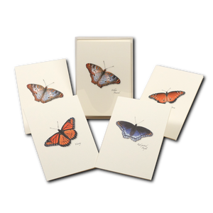 Butterfly Assortment II Boxed Notecards