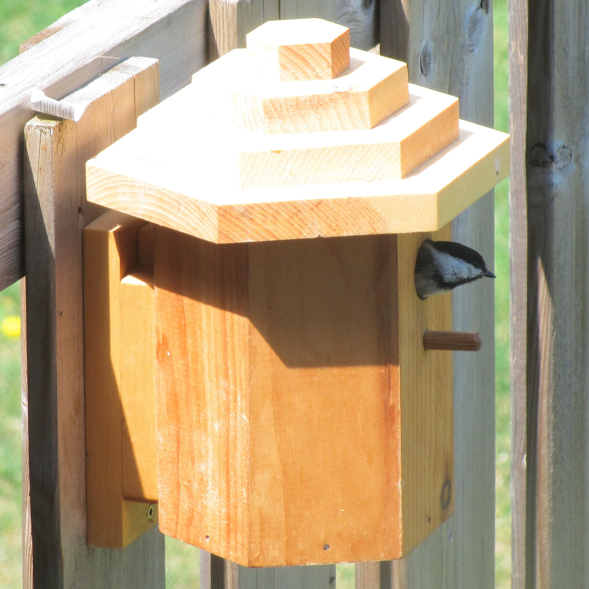 Wood Hexagon Birdhouse, Made in Canada – Urban Nature Store