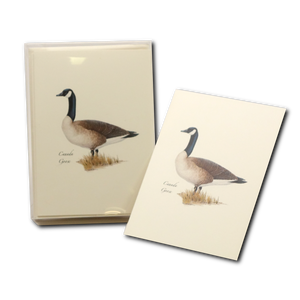 Canada Goose Boxed Notes