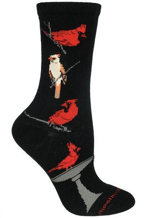 Cardinals on Black Socks, Large