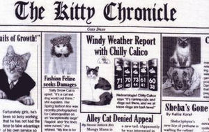 Cat News Mat Nip