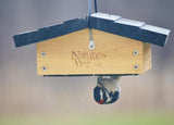 Cedar Suet Upside-Down Bird Feeder