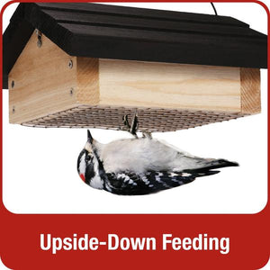 Cedar Suet Upside-Down Bird Feeder