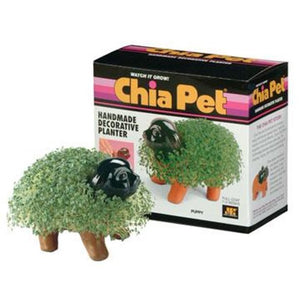 Chia Pet Puppy (Store Pickup Only)