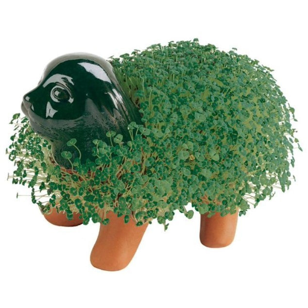 Chia Pet Puppy (Store Pickup Only)