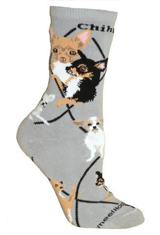 Chihuahua on Gray Socks