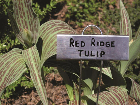 Classic Impressions 10-Inch Slip-On Zinc Garden Plant Label