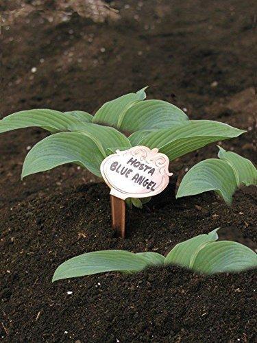 Classic Impressions Ornamental Copper Garden Plant T-Label