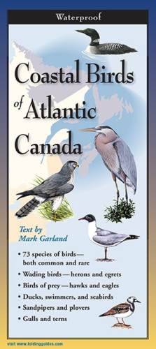 Coastal Birds of Atlantic Canada
