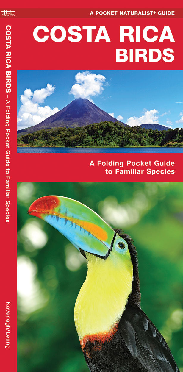Costa Rica Birds – Urban Nature Store