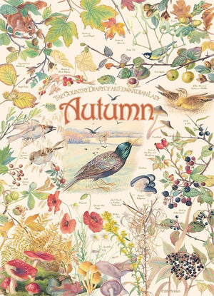 Country Diary, Autumn 1000 Piece Puzzle