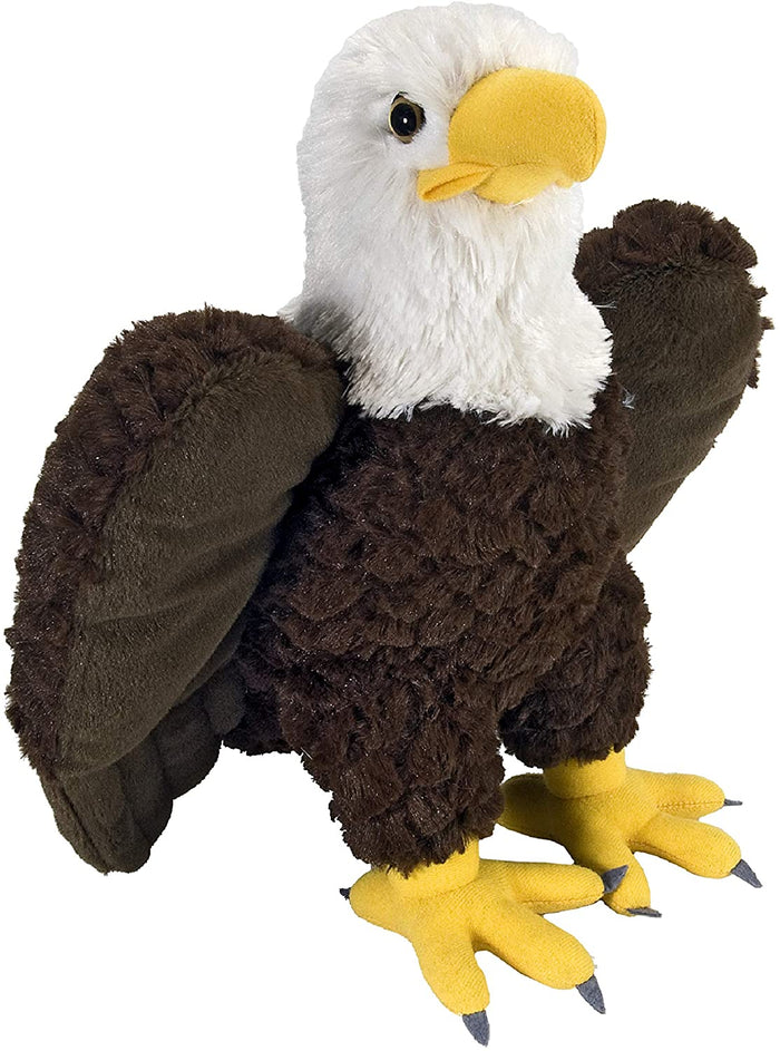 Cuddlekins Bald Eagle, 12 Inch
