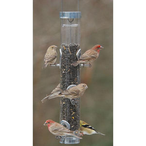 Classic Sunflower Feeder with Ring Pull Advantage