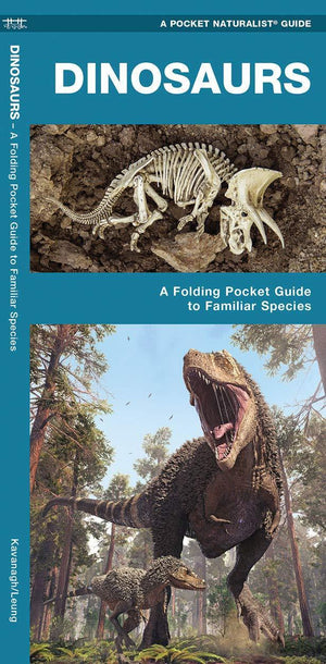 Dinosaurs: A Folding Pocket Guide to Familiar Species