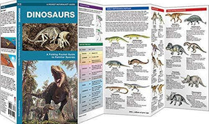 Dinosaurs: A Folding Pocket Guide to Familiar Species