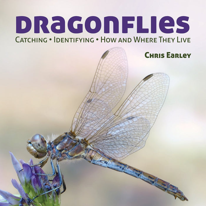 Dragonflies: Catching, Identifying, How and Where They Live