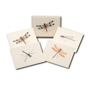 Dragonfly and Damselfly Assortment Boxed Notes
