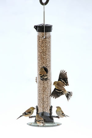 Droll Yankees Clever Clean 18-Inch Sunflower/Mixed Seed Feeder (Onyx)