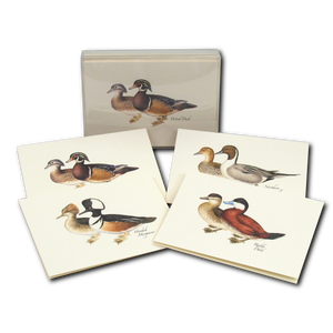Duck Assortment Boxed Notecards