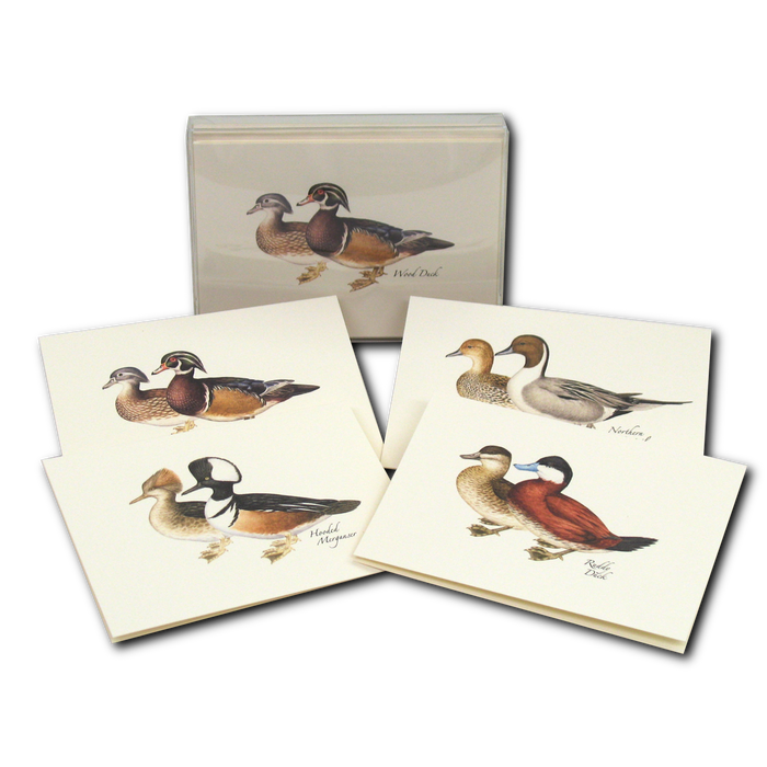 Duck Assortment Boxed Notecards