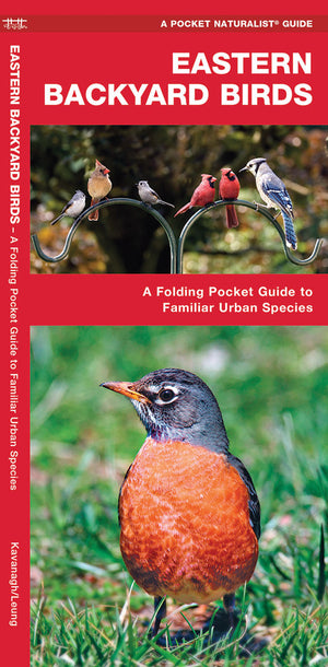 Pocket Naturalist: Eastern Backyard Birds