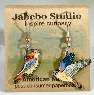 Eco Friendly American Kestrel Earrings