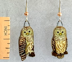 Eco Friendly Barred Owl Earrings
