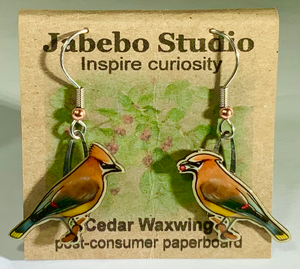 Eco Friendly Cedar Waxwing Earrings