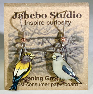 Eco Friendly Evening Grosbeak Earrings