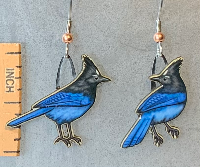 Hanging Blue Jay in Wood – PINCH