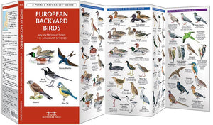 European Backyard Birds
