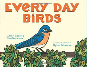 Every Day Birds