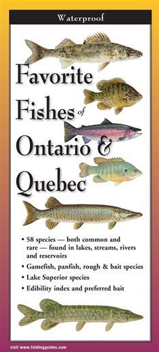 Favourite Fishes of Ontario & Quebec