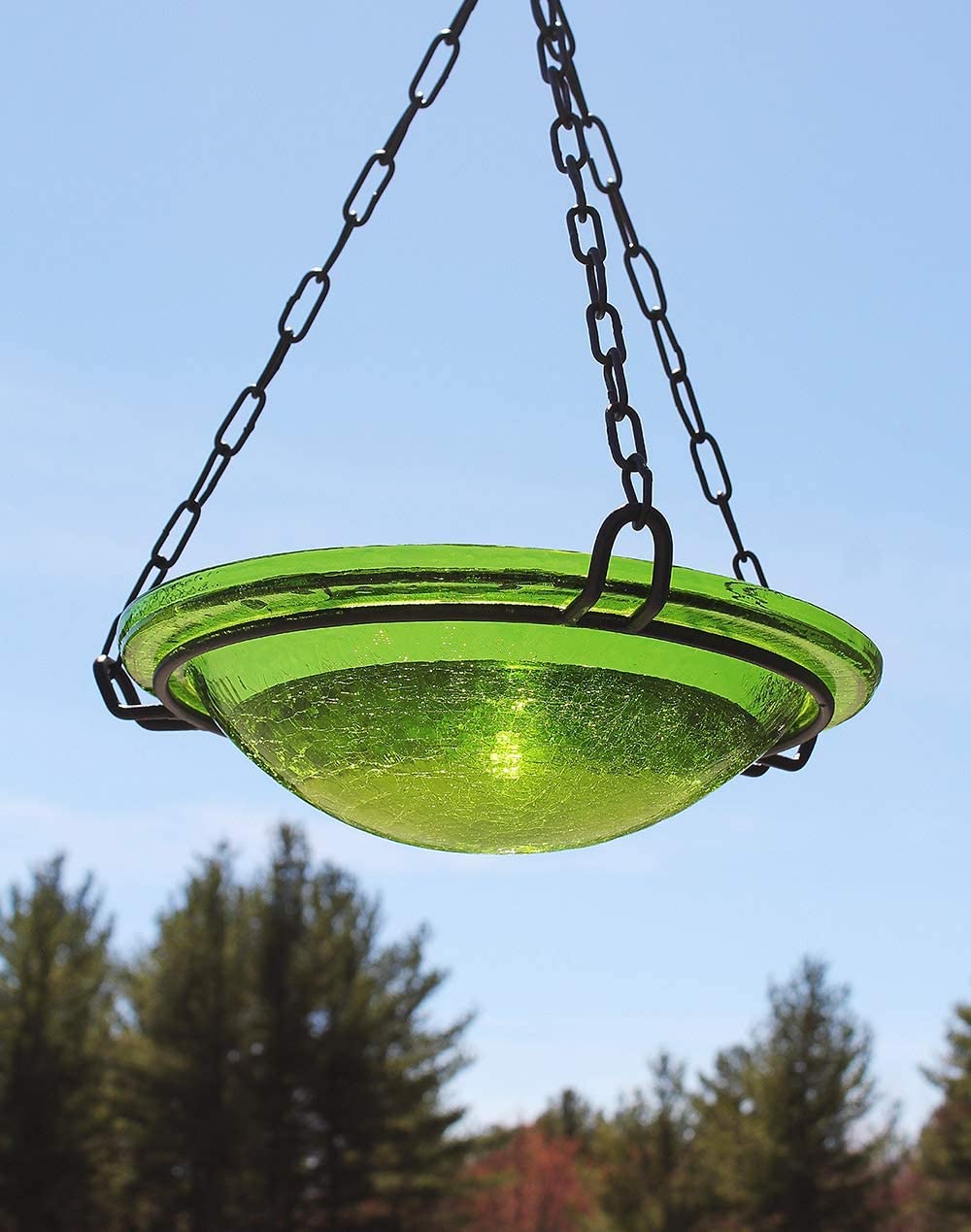 Fern Hanging Birdbath